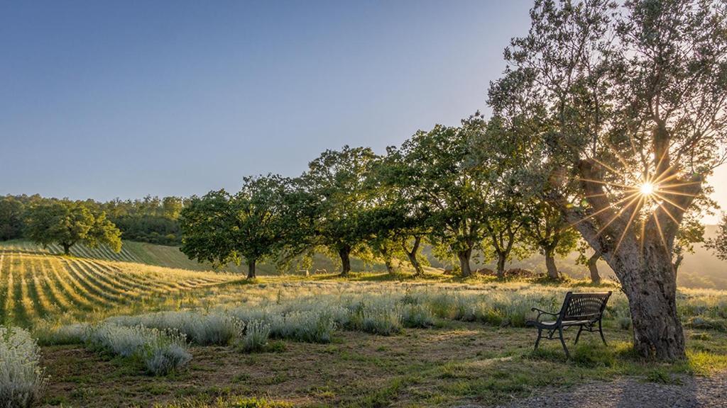 Il Poggio Di Teo Vila Manciano Exterior foto