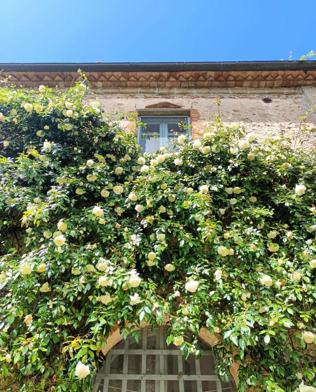 Il Poggio Di Teo Vila Manciano Exterior foto
